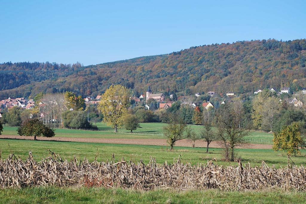 Chambres D'Hotes Les Vignes Saint-Jean-Saverne Εξωτερικό φωτογραφία