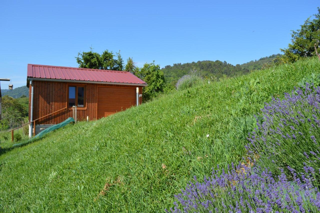 Chambres D'Hotes Les Vignes Saint-Jean-Saverne Εξωτερικό φωτογραφία