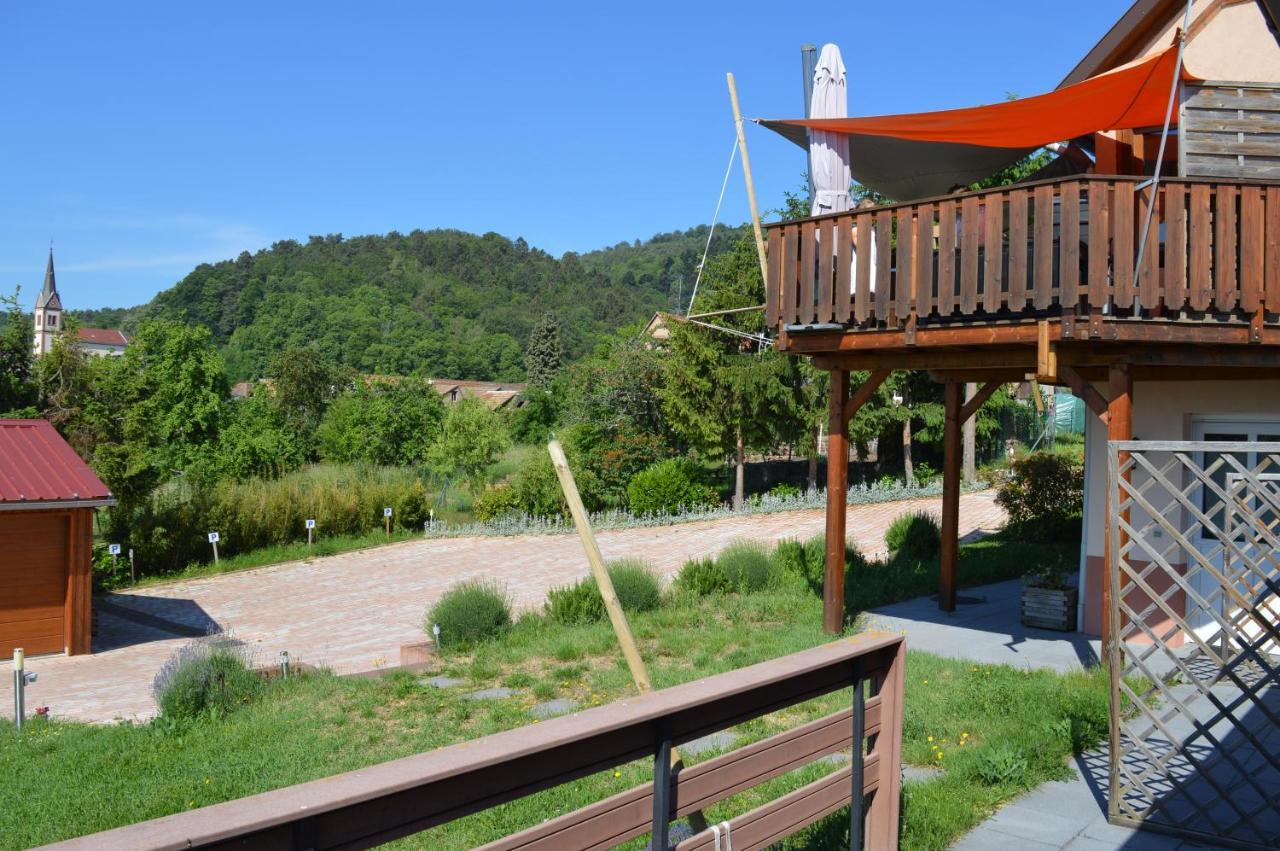 Chambres D'Hotes Les Vignes Saint-Jean-Saverne Εξωτερικό φωτογραφία