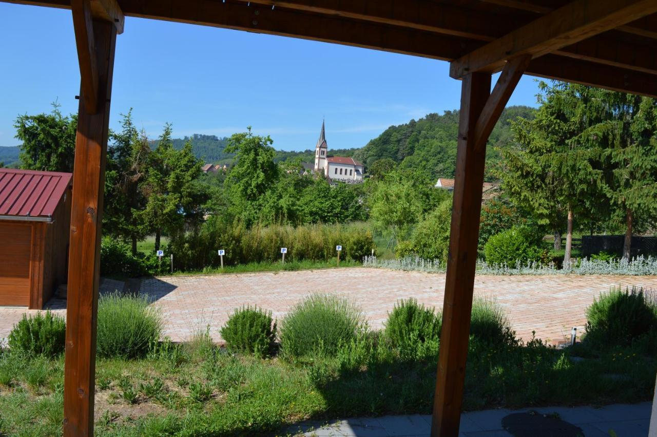 Chambres D'Hotes Les Vignes Saint-Jean-Saverne Εξωτερικό φωτογραφία