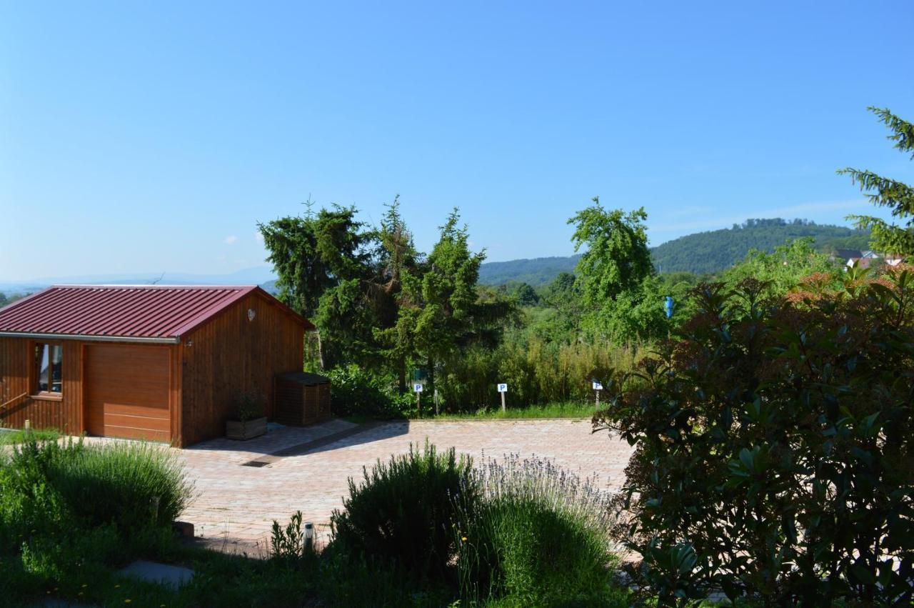Chambres D'Hotes Les Vignes Saint-Jean-Saverne Εξωτερικό φωτογραφία